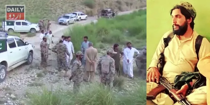 دہشتگردی