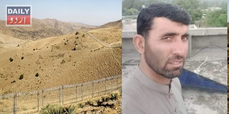 دہشتگردی
