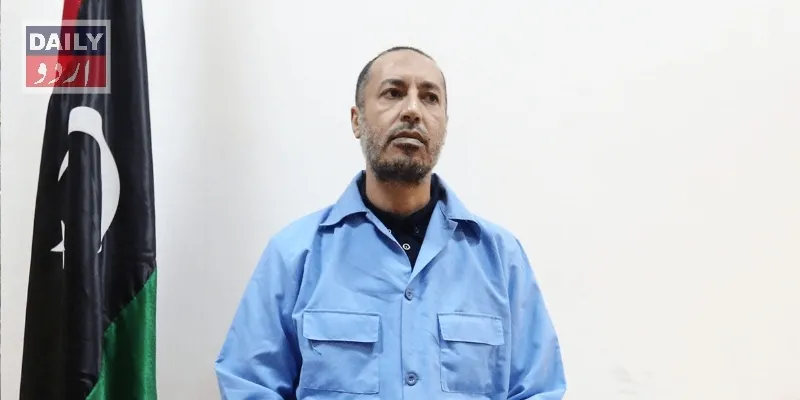 کورٹس