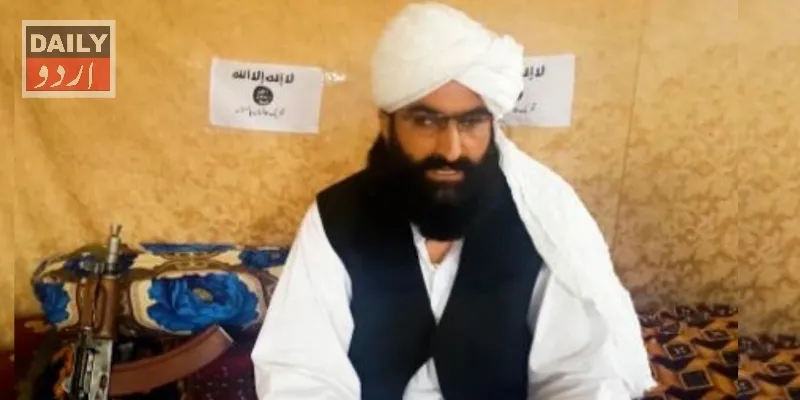 دہشتگردی