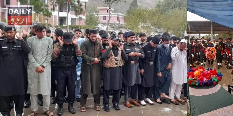 دہشتگردی
