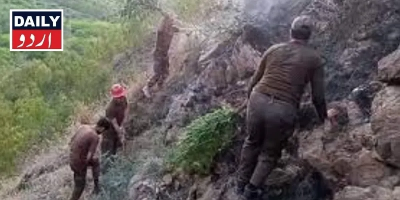 پاکستان