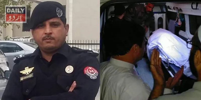 دہشتگردی