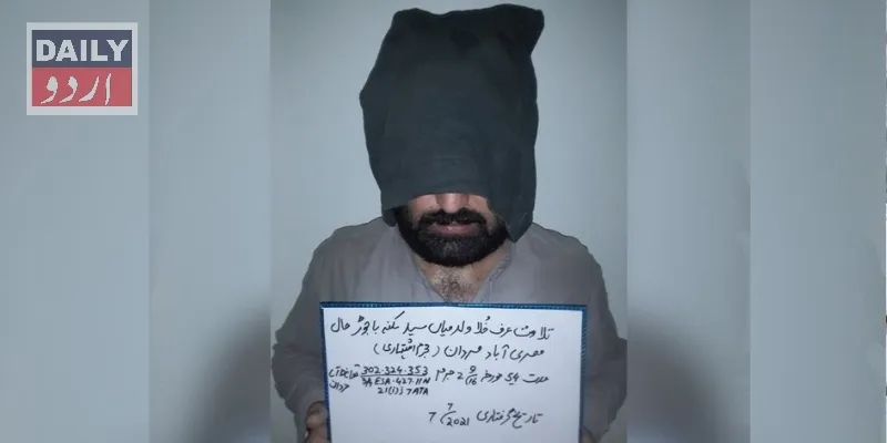 کورٹس