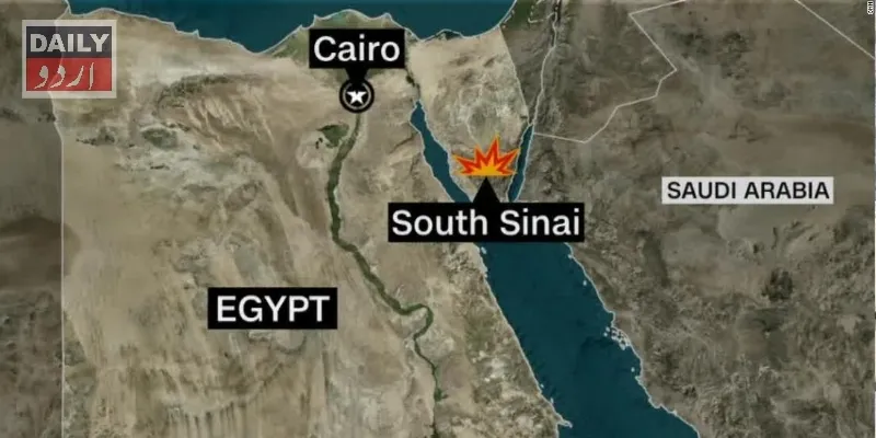 دہشتگردی