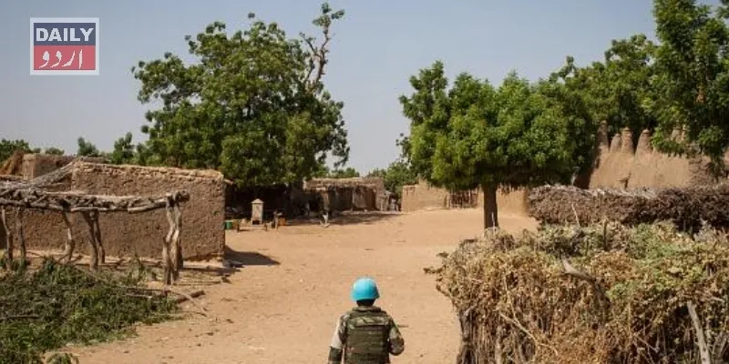 دہشتگردی