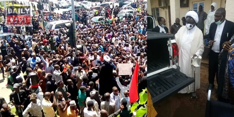 کورٹس
