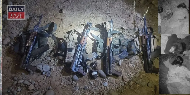 دہشتگردی