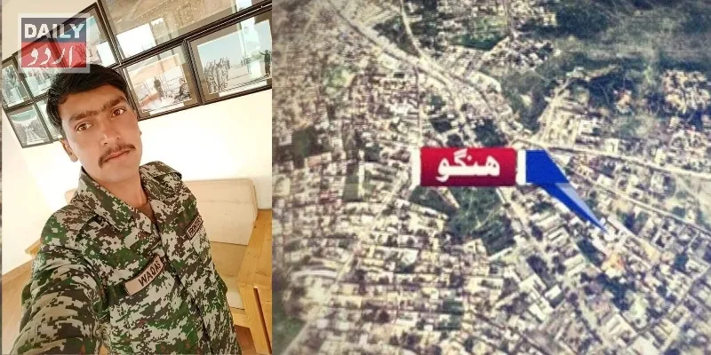 دہشتگردی