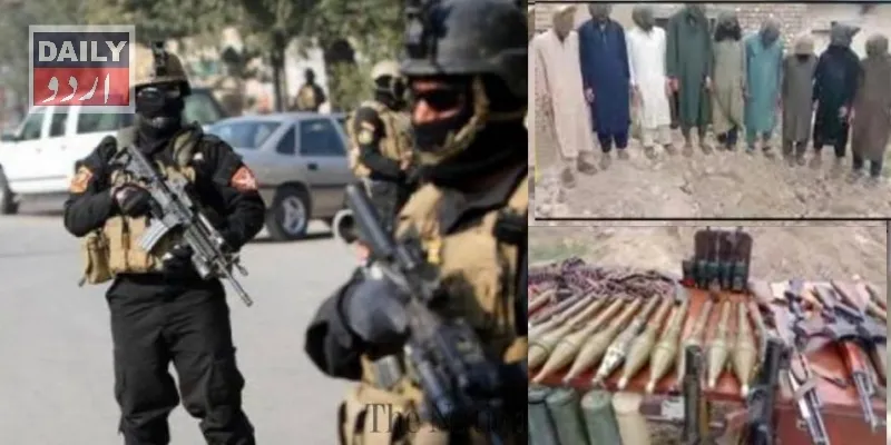 دہشتگردی