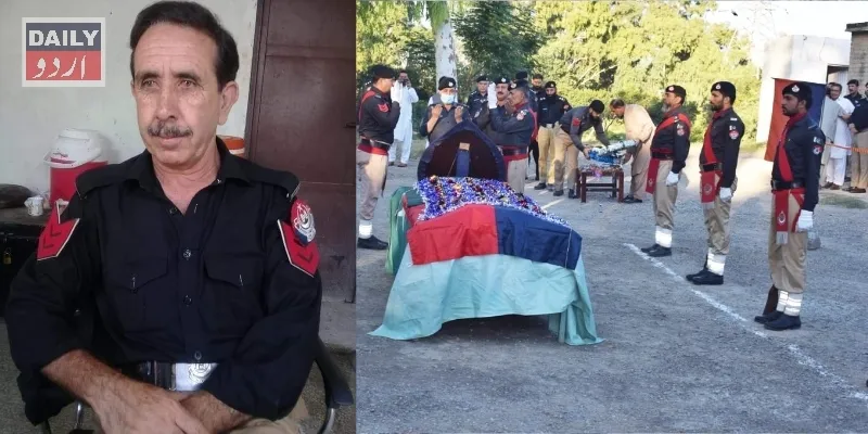 دہشتگردی