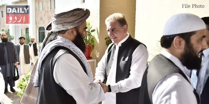 دہشتگردی