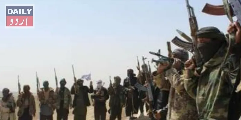 دہشتگردی