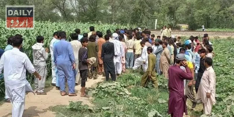 کرائمز