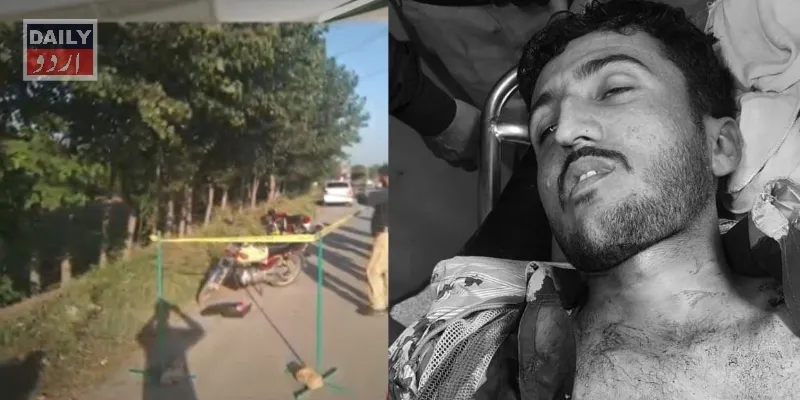 دہشتگردی