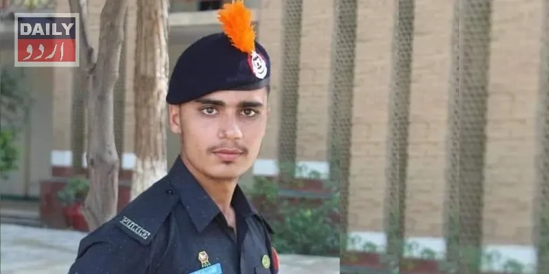 دہشتگردی