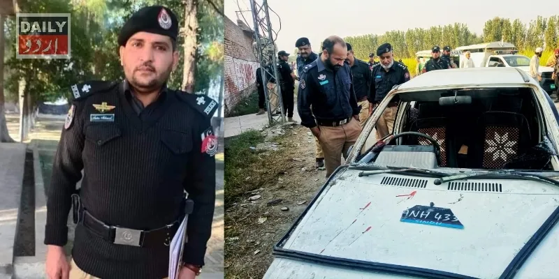 دہشتگردی