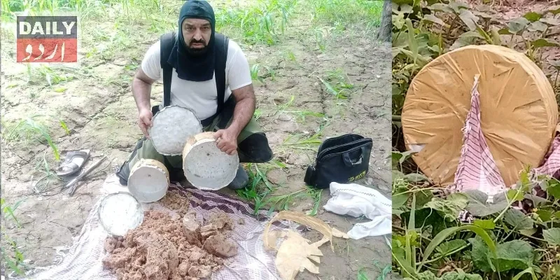 دہشتگردی