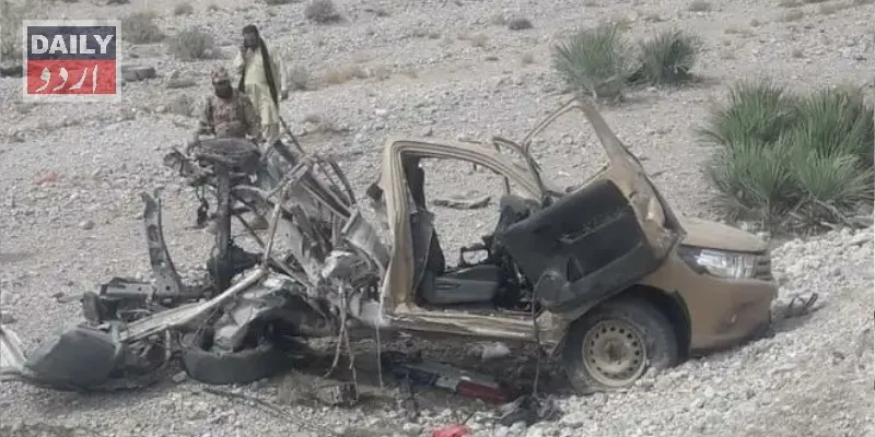 دہشتگردی