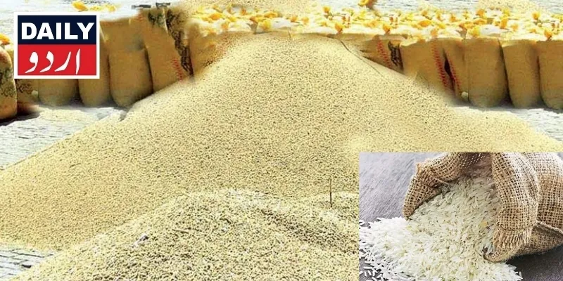 کاروبار