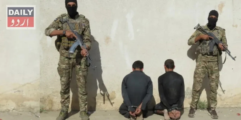 دہشتگردی