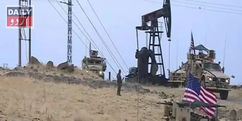 دہشتگردی