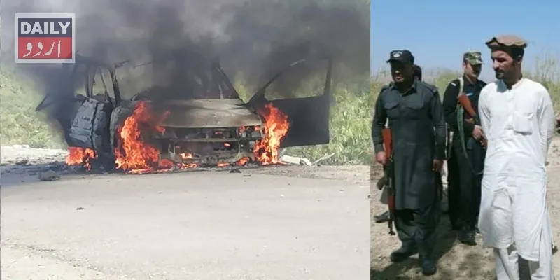 دہشتگردی