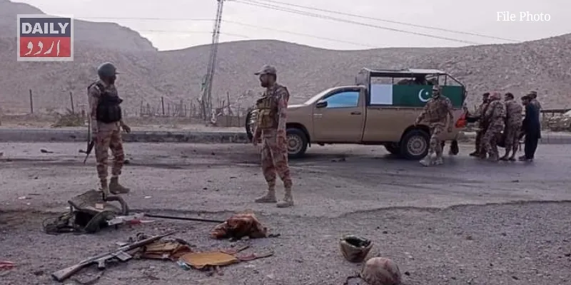 دہشتگردی