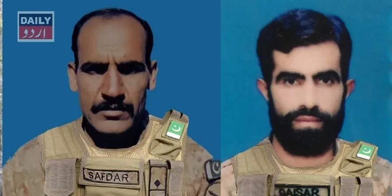 دہشتگردی