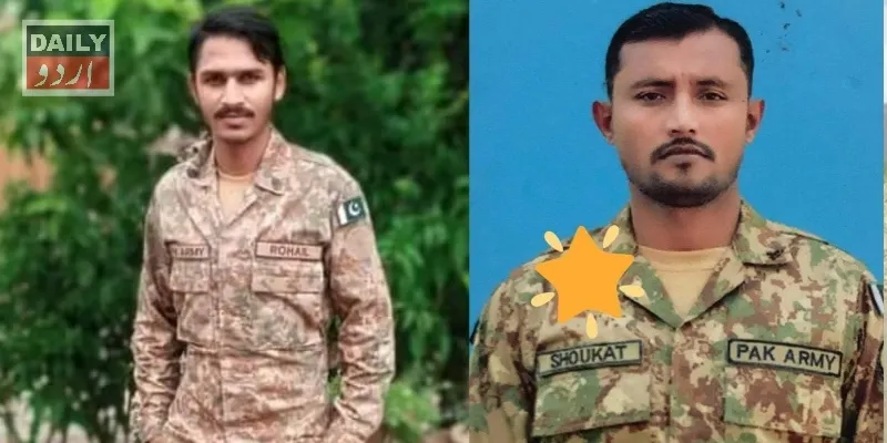 دہشتگردی