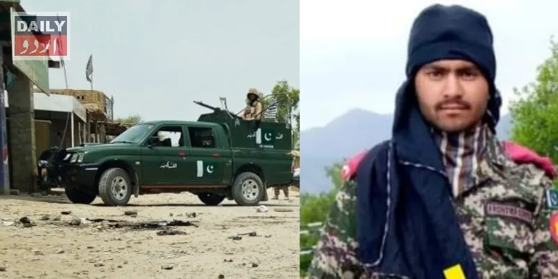 دہشتگردی