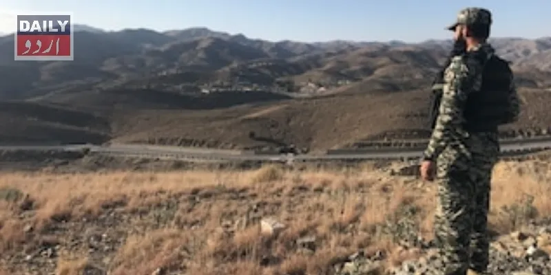 دہشتگردی