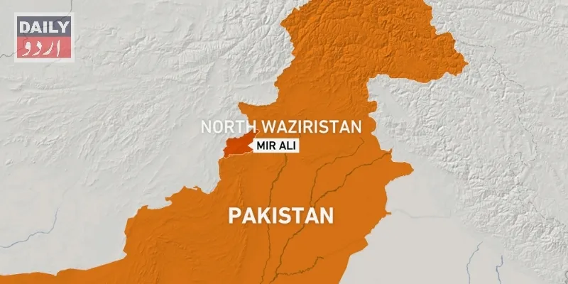 دہشتگردی