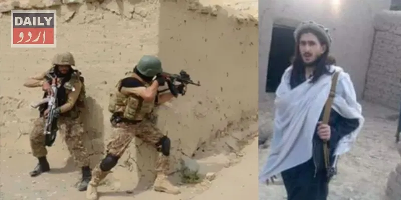 دہشتگردی