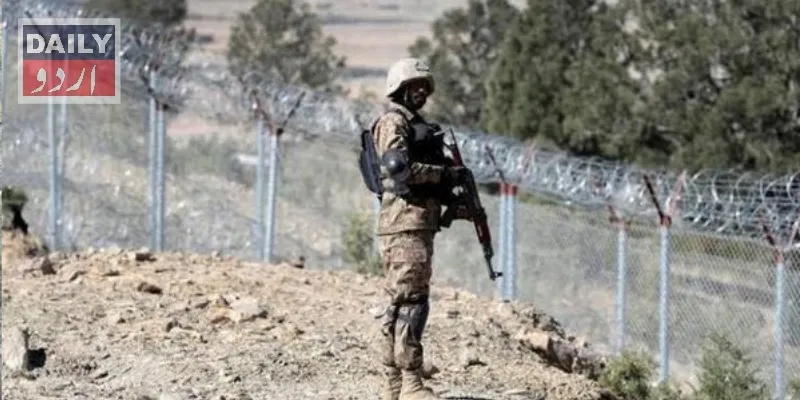 دہشتگردی