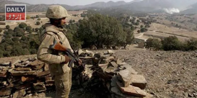 دہشتگردی