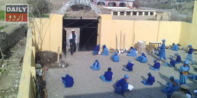 تعلیم