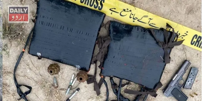 دہشتگردی