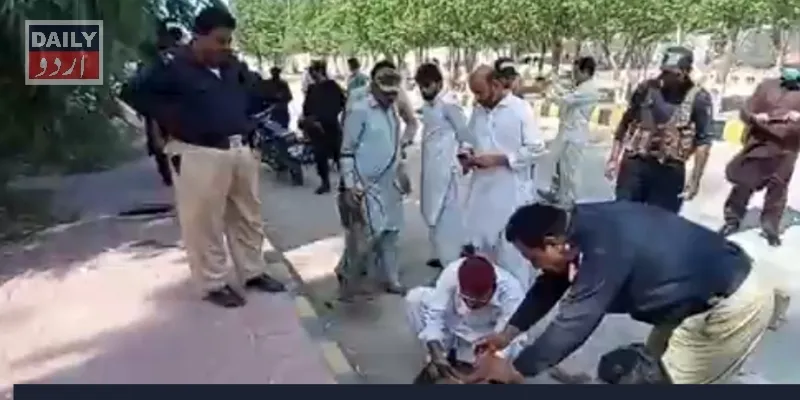 دہشتگردی