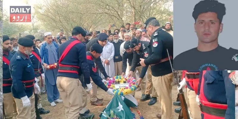 دہشتگردی