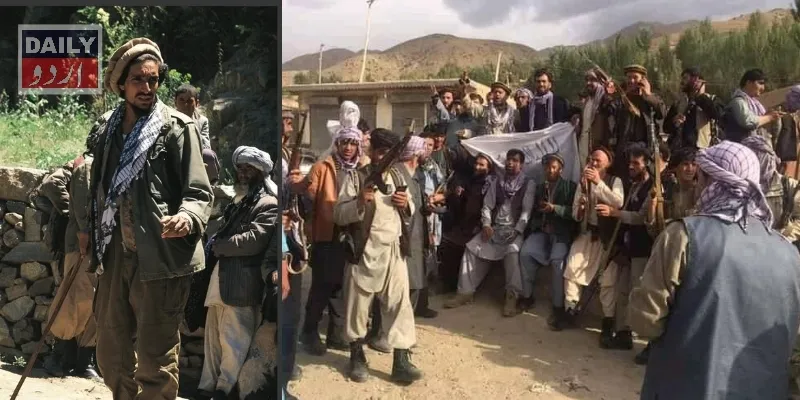 دہشتگردی