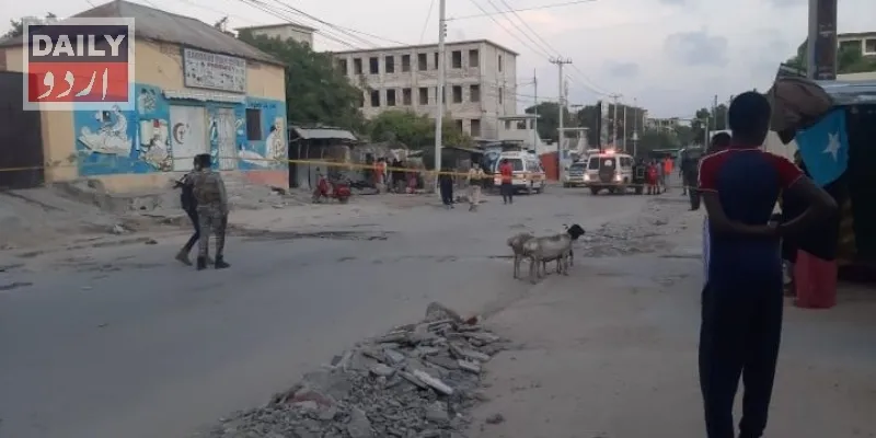 دہشتگردی