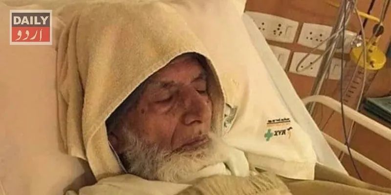 سیاست