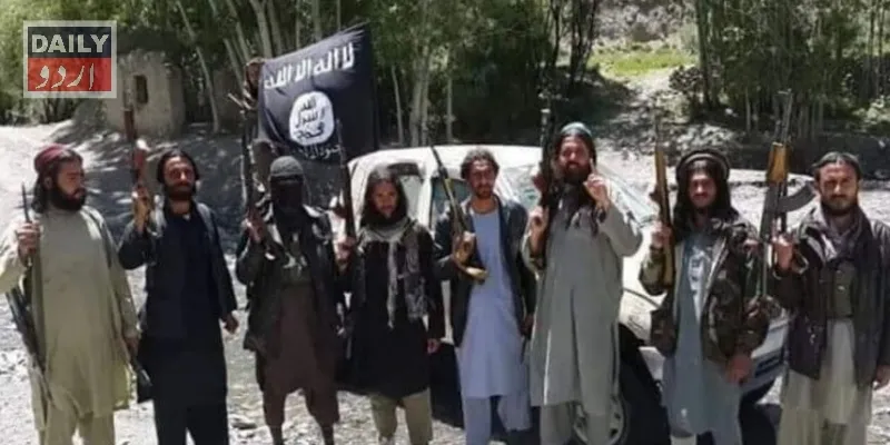 دہشتگردی