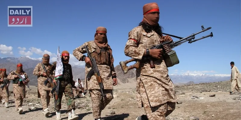دہشتگردی