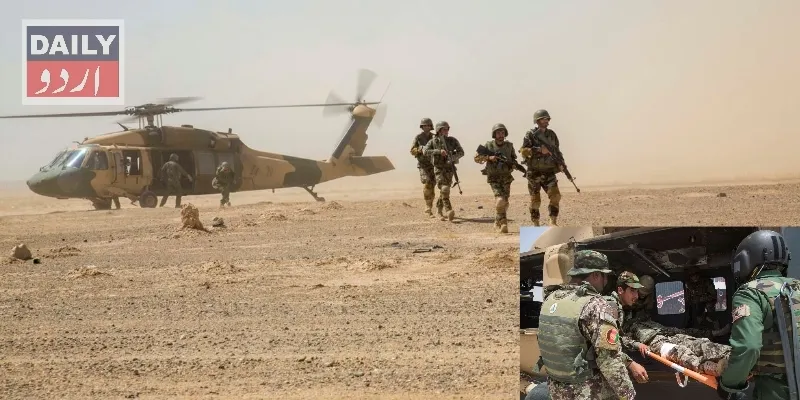 دہشتگردی