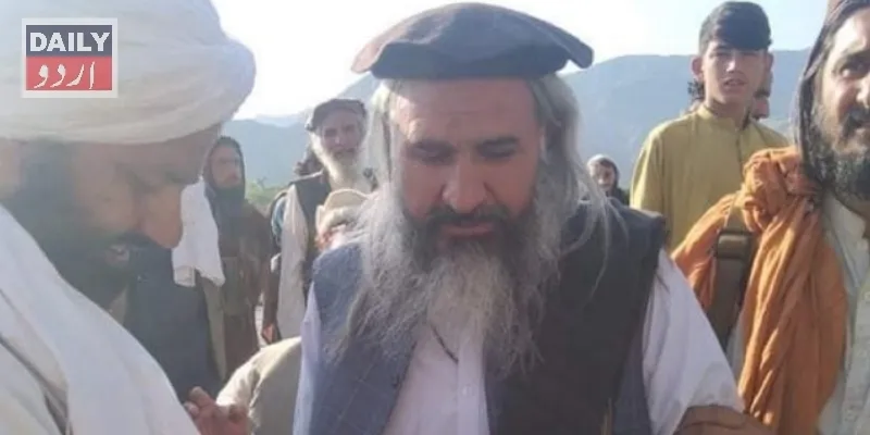 دہشتگردی