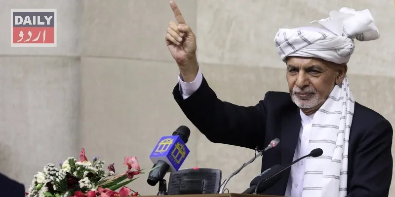 دہشتگردی