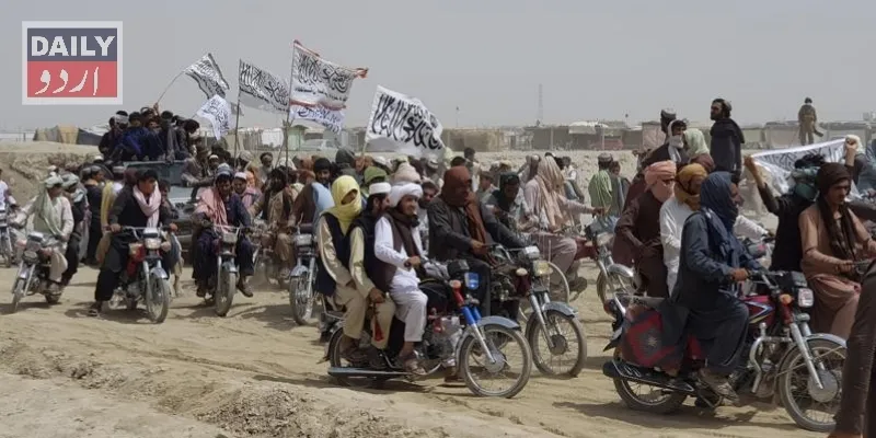 دہشتگردی