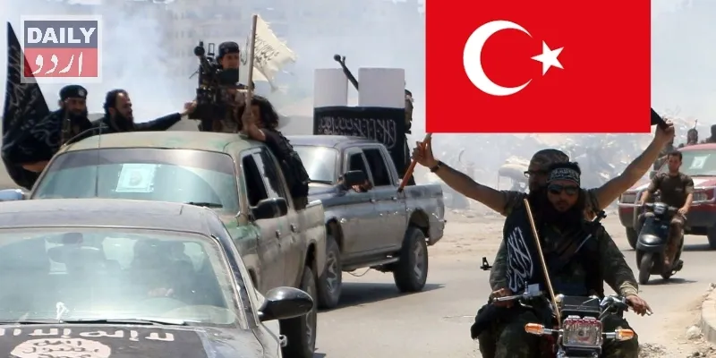 دہشتگردی